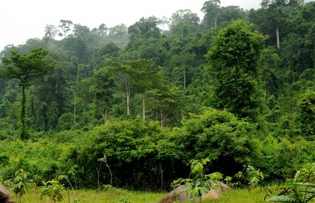 Botum Sakor National Park 1